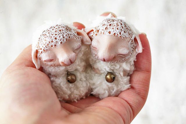 1476779917 i create super cute and creepy dolls 42 58047d49f29ab  700