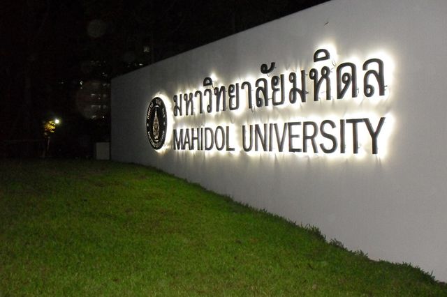 image_232782
