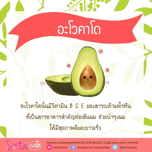 1476873877 sistacafe526 5