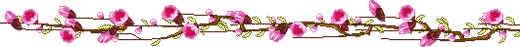 image_234027