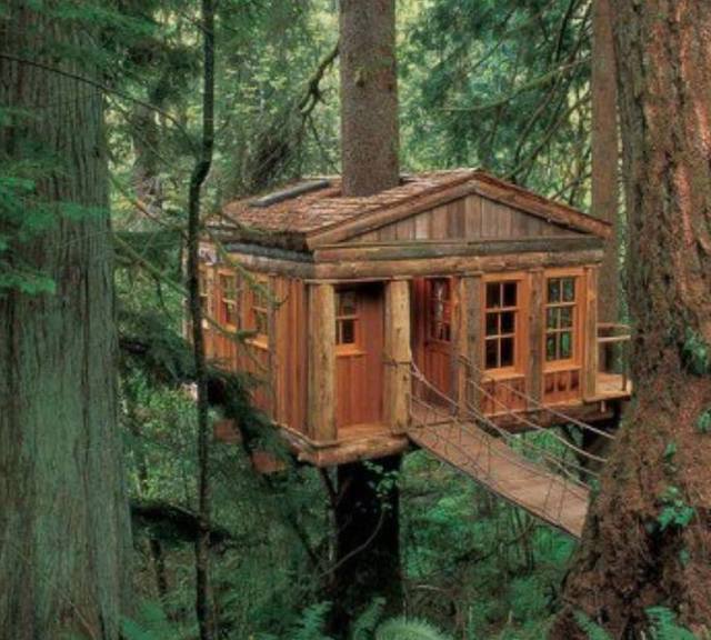 1477193842 treehouse pic