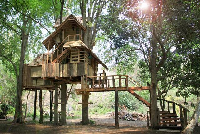https://image.sistacafe.com/images/uploads/content_image/image/234865/1477193894-big-treehouse-in-chiangmai-thailand-01.jpg