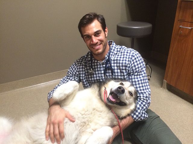1477408333 hottest vet pet doctor evan antin california 433  700