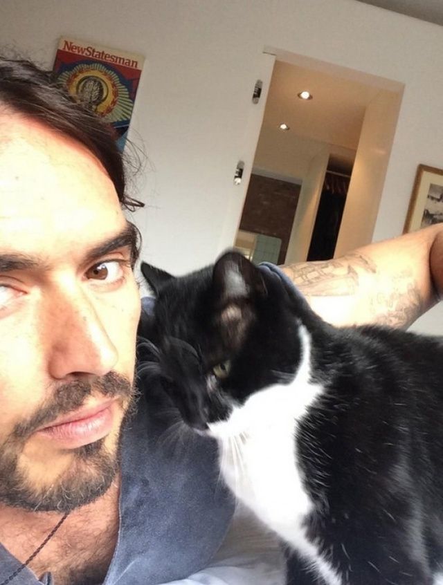 1477409478 180605 650 1456817243 russell brand cats twitter