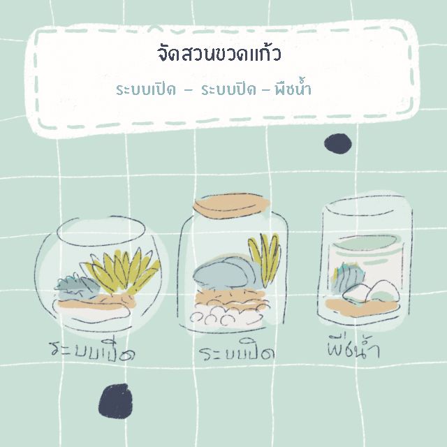 image_236735