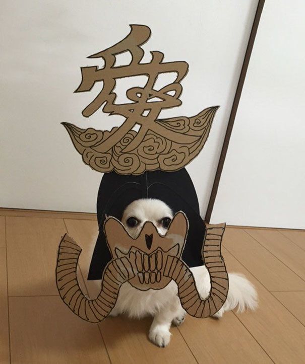1477466490 dog costume cardboard cutouts myouonnin 16 580f540b4a65b  605