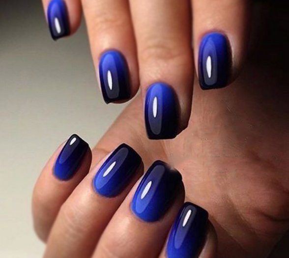 image_237305