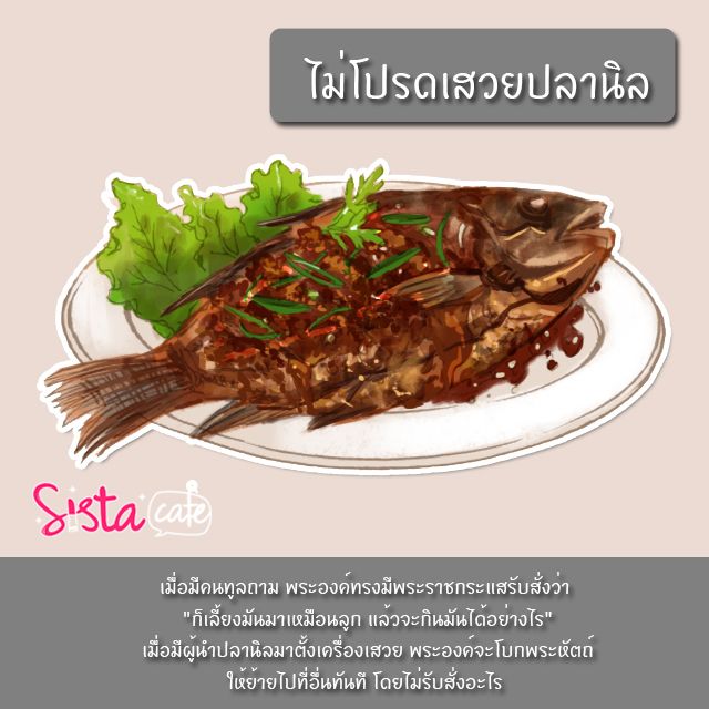 image_237968