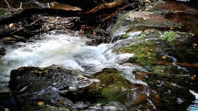 image_239811