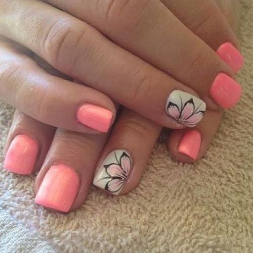 image_240299