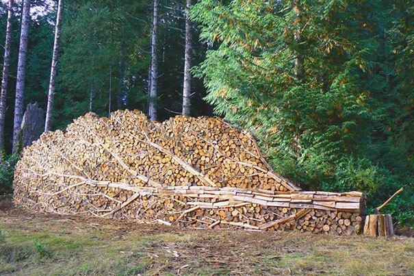 https://image.sistacafe.com/images/uploads/content_image/image/241993/1478063066-creative-wood-pile-stacking-art-35-581870b6d8c86__605.jpg