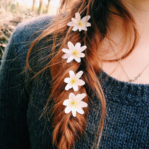 https://image.sistacafe.com/images/uploads/content_image/image/243940/1478205797-braid-daisies-floral-flowers-Favim.com-2237131.jpg