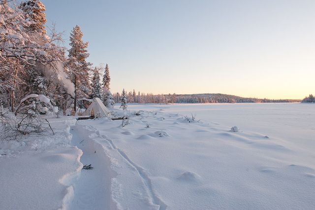 image_245234