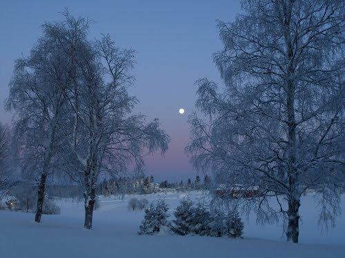 image_245244