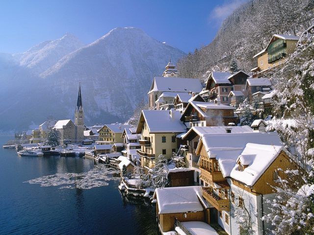 image_245297