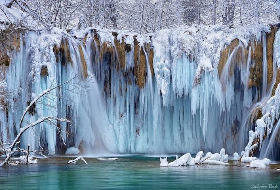 image_245477