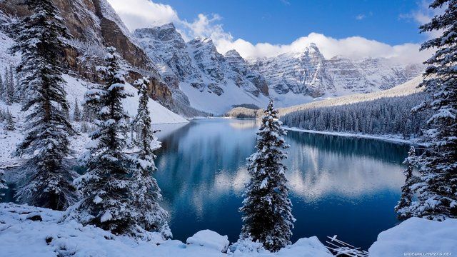 image_245500