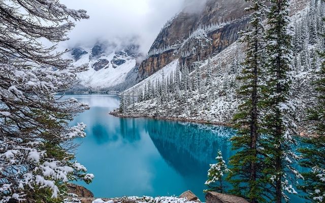 image_245503