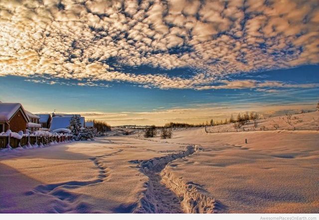 image_245505