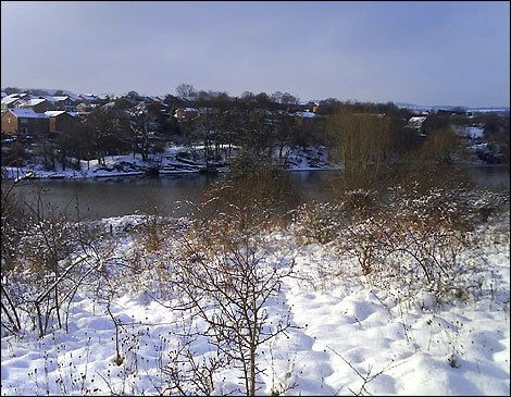image_245509