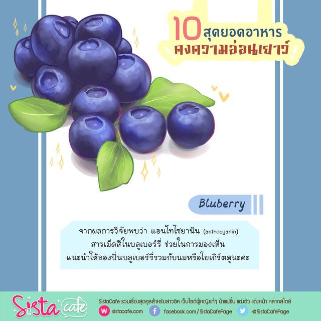 1478683742 sistacafe518 1