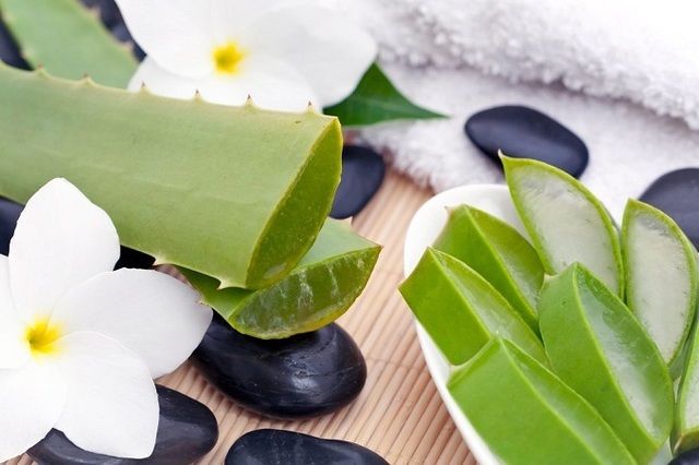 1478768610 the aloe vera benefits 1