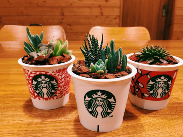 Starbucks