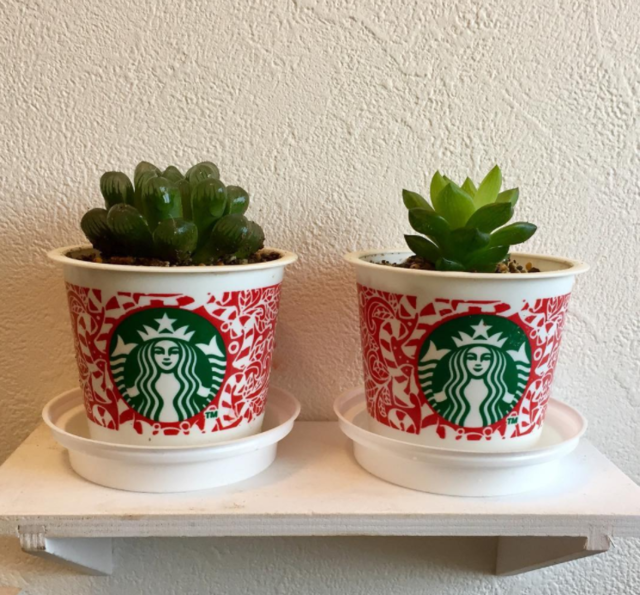 Starbuks