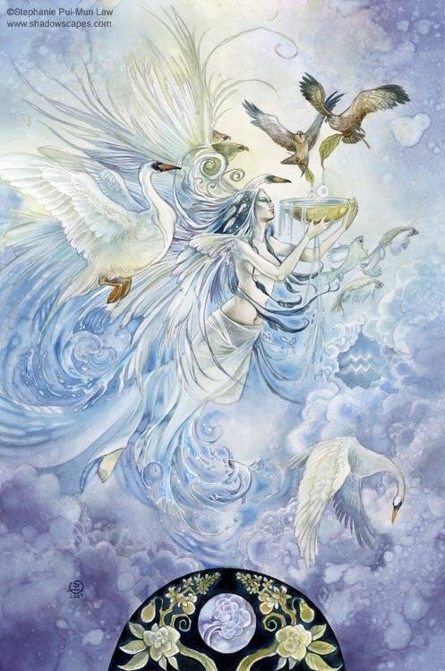 image_25420
