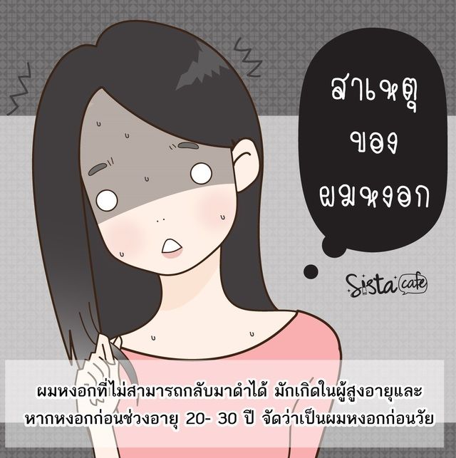 image_256213