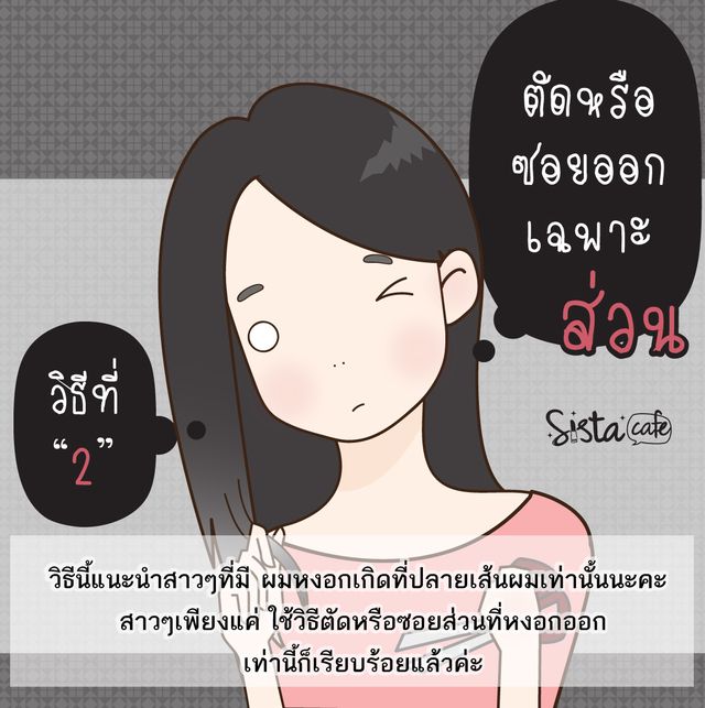 image_256217