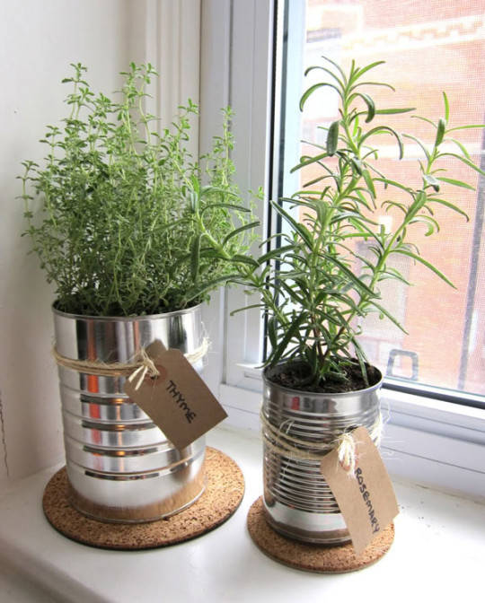 1439260235 diy indoor herb garden1
