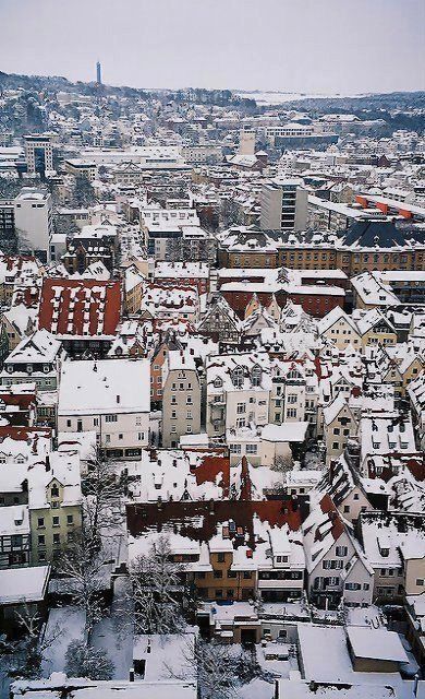 image_261374
