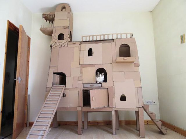 https://image.sistacafe.com/images/uploads/content_image/image/261660/1481174956-cardboard-ark-structure-cat-prefabcat-7.jpg