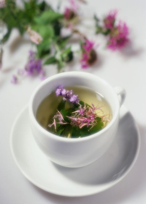 https://image.sistacafe.com/images/uploads/content_image/image/263165/1481416770-ahjzfh9h5603c135162be694568453.jpg