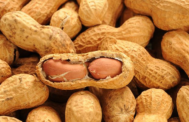 https://image.sistacafe.com/images/uploads/content_image/image/263948/1481543983-The-Nut-That-Could-Help-You-Live-Longer_2.jpg