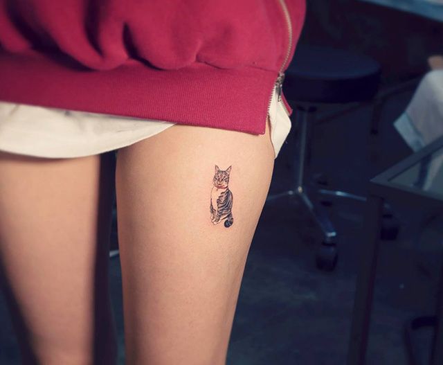 https://image.sistacafe.com/images/uploads/content_image/image/263955/1481544308-cat-tattoo-illegal-outlaw-tattoo-artists-south-korea-5.jpg