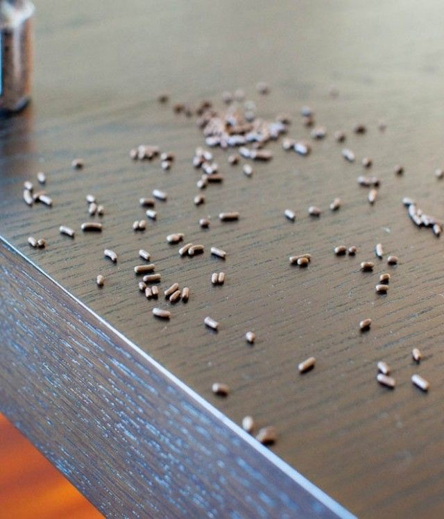 1481695801 sprinkles 6 665x777