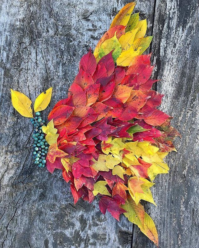 1481776370 fallen leaf art japan 23 585117f5cdcd8  700