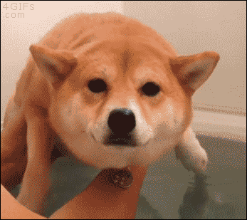 image_266044
