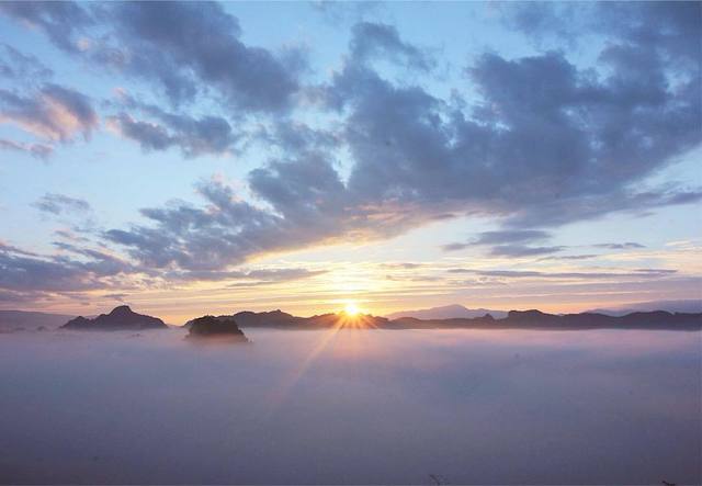 image_269229