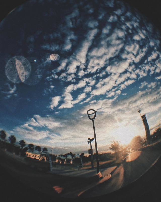 image_269248