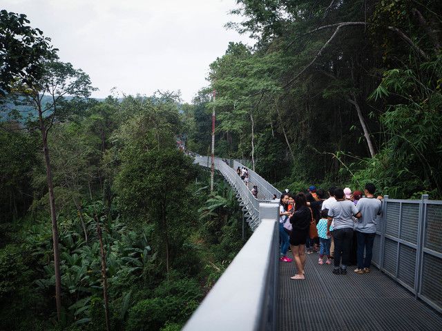 image_271389