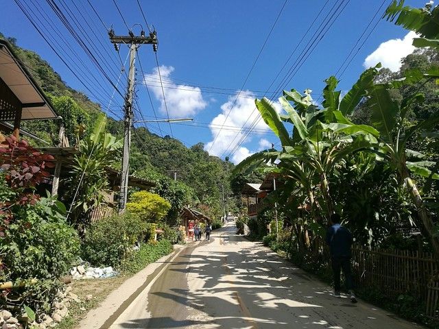 image_271395