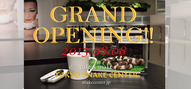 https://image.sistacafe.com/images/uploads/content_image/image/27212/1439739371-snakecenter_slider07.jpg