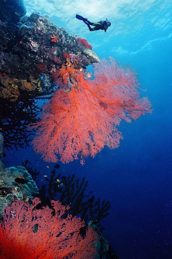 image_272363