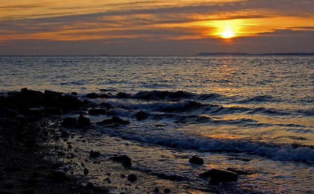 image_272668