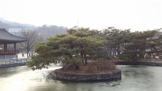 image_275188