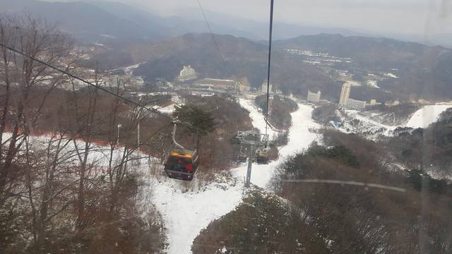 image_275205