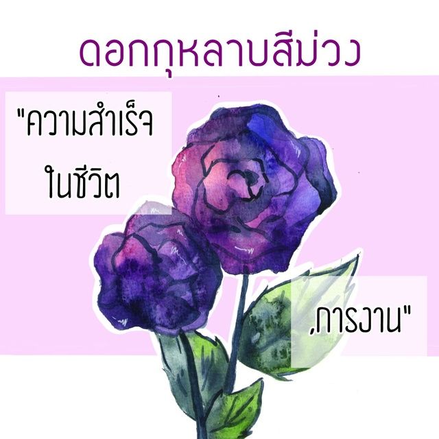 1483369616 4